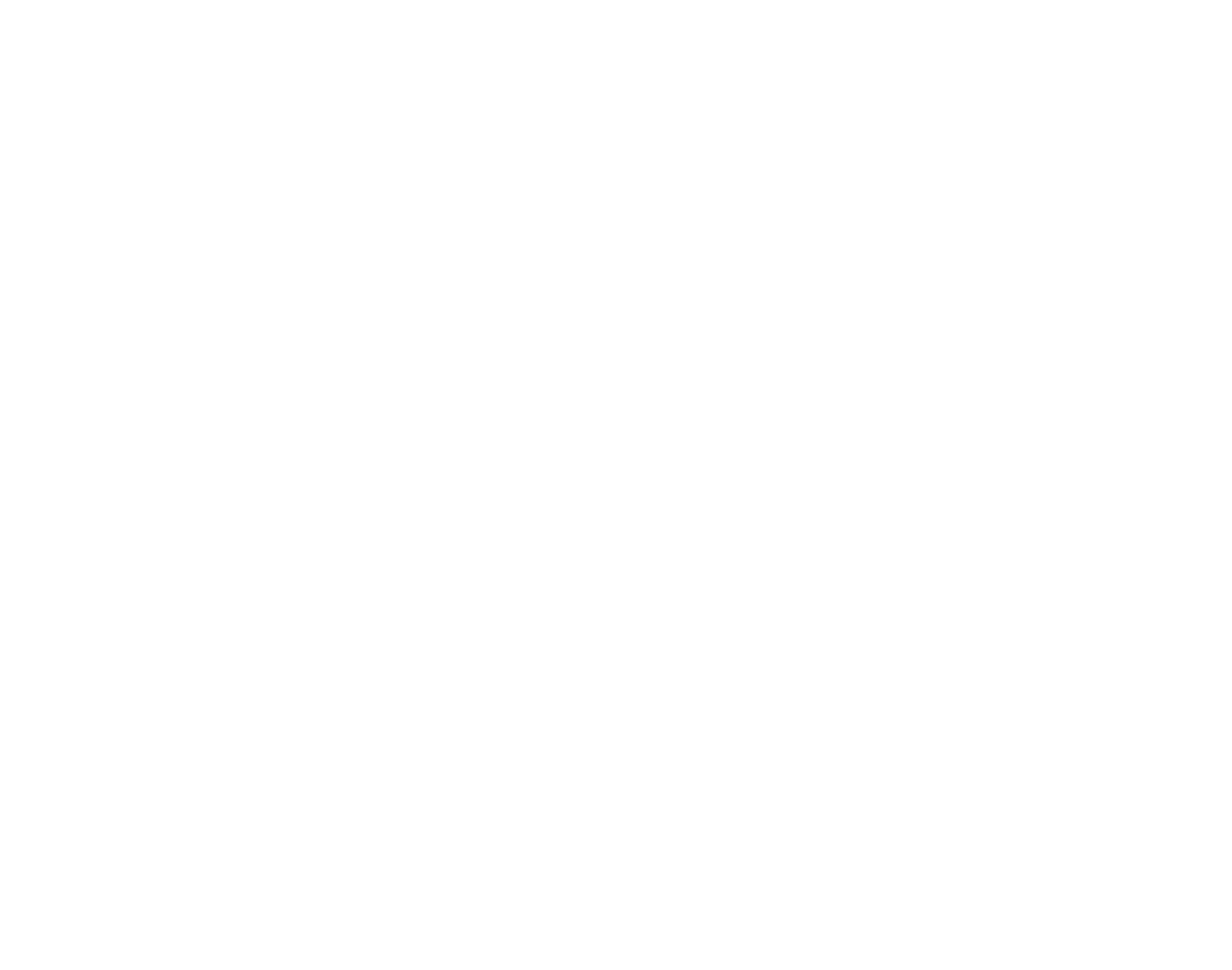 Ravensoft Logo